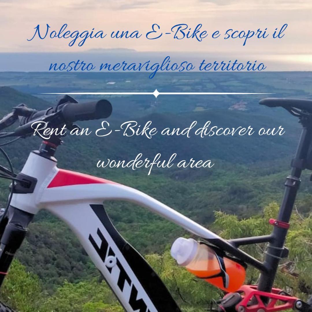 Podere San Filippo B&B-Apartment-Pet Friendly-Rent Bike And Bike Friendly Bibbona Exterior foto