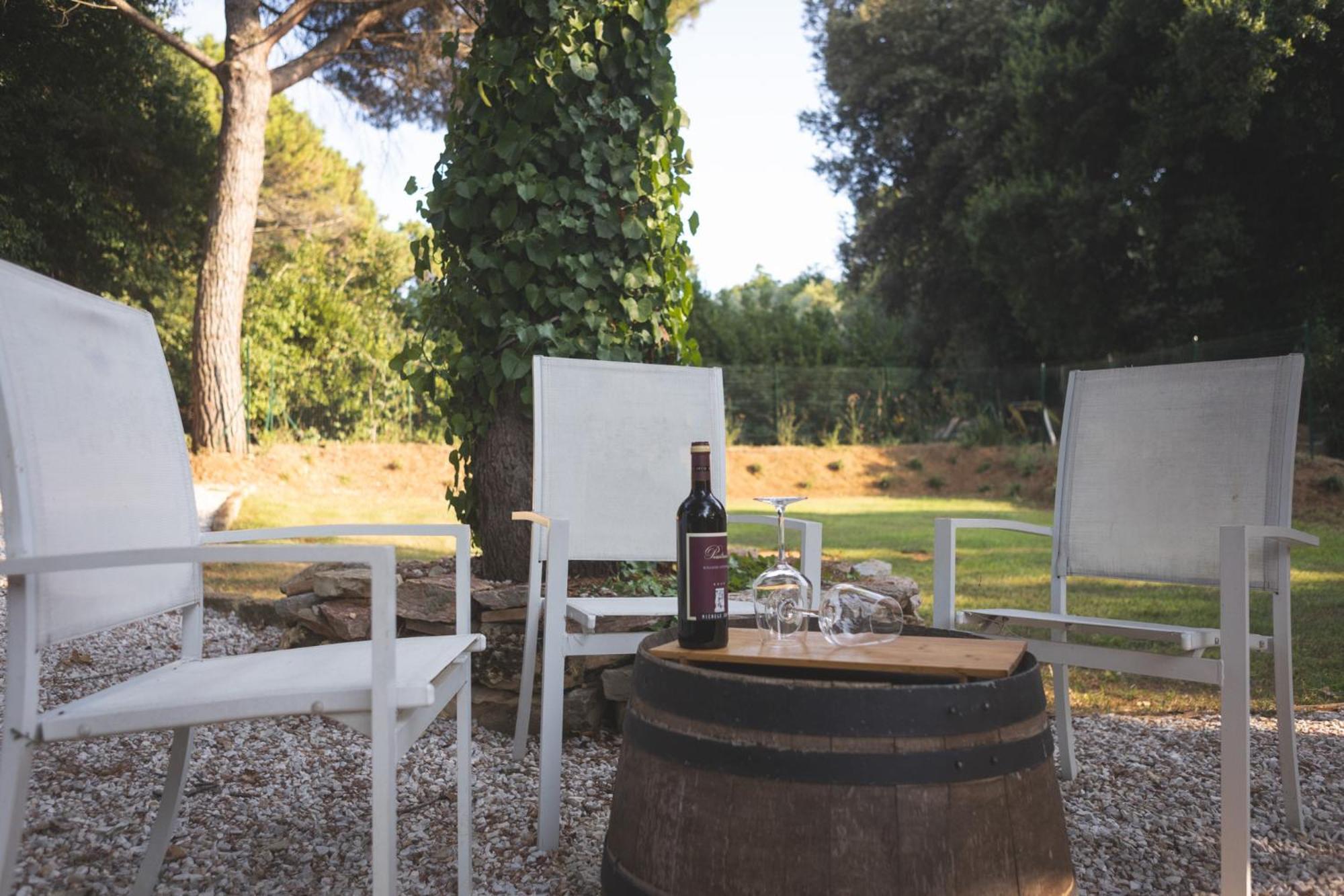 Podere San Filippo B&B-Apartment-Pet Friendly-Rent Bike And Bike Friendly Bibbona Exterior foto